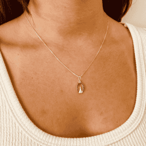 Colar Veneziana Nossa Senhora Azul com Zircônias Aro